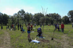 Dzisiaj sadzimy drzewa w „Parku Krakowian”
