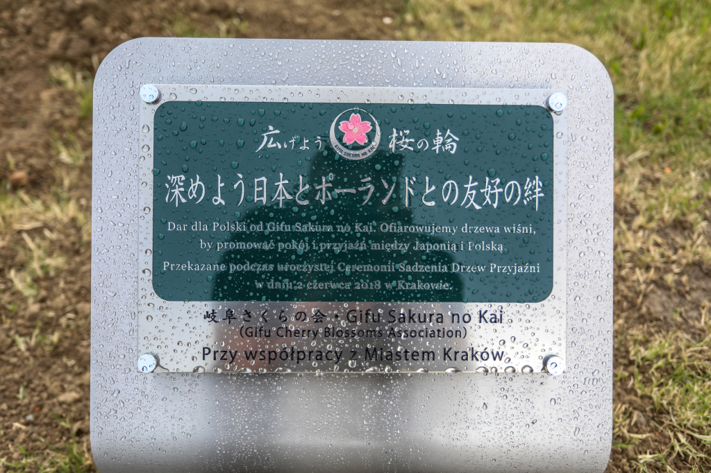 bs_kr_pl_20180602_imgl3788.jpg  Autor: B. Świerzowski