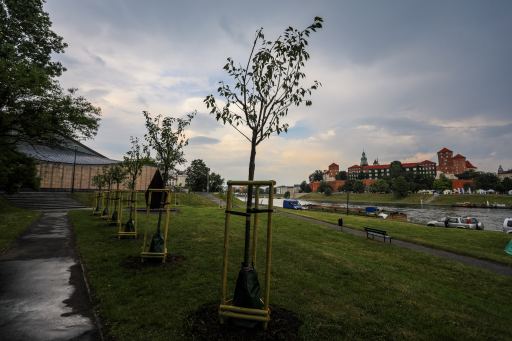 bs_kr_pl_20180602_imgl3802.jpg  Autor: B. Świerzowski