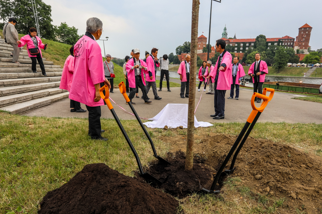 bs_kr_pl_20180602_imgl4029.jpg  Autor: B. Świerzowski