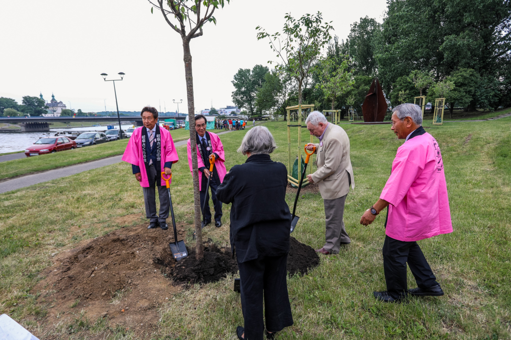 bs_kr_pl_20180602_imgl4036.jpg  Autor: B. Świerzowski