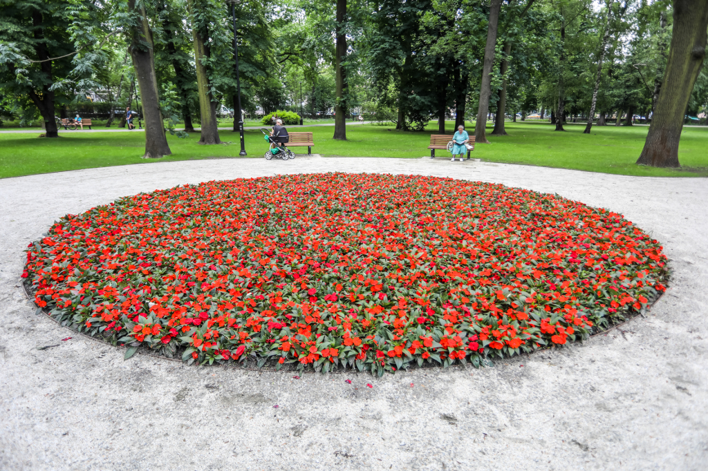 bs_krpl_20180602_imgl3567.jpg  Autor: B. Świerzowski