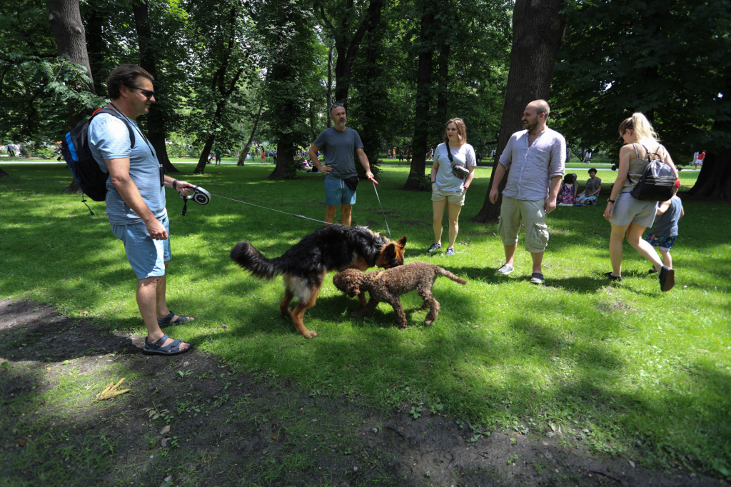 bs_krpl_20180602_imgl3634.jpg  Autor: B. Świerzowski