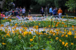 bs_kr_pl_20180715_img_8690.jpg-Piknik