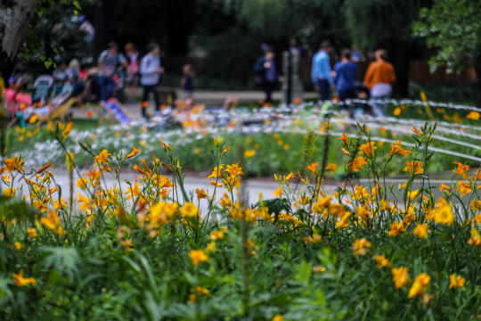 bs_kr_pl_20180715_img_8690.jpg-Piknik