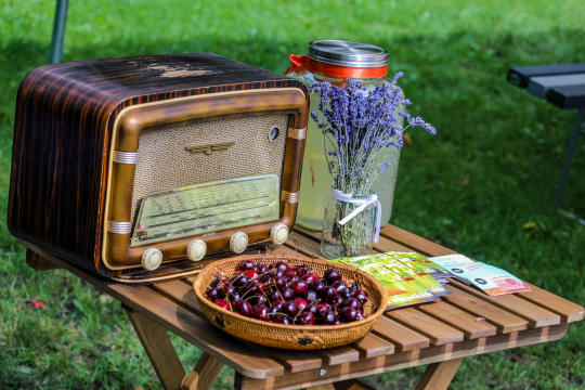 bs_kr_pl_20180715_img_8704.jpg-Piknik