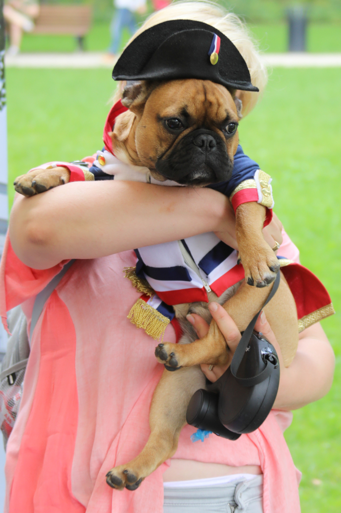 bs_kr_pl_20180715_img_8809.jpg-Piknik  Autor: Autor - B. Świerzowski