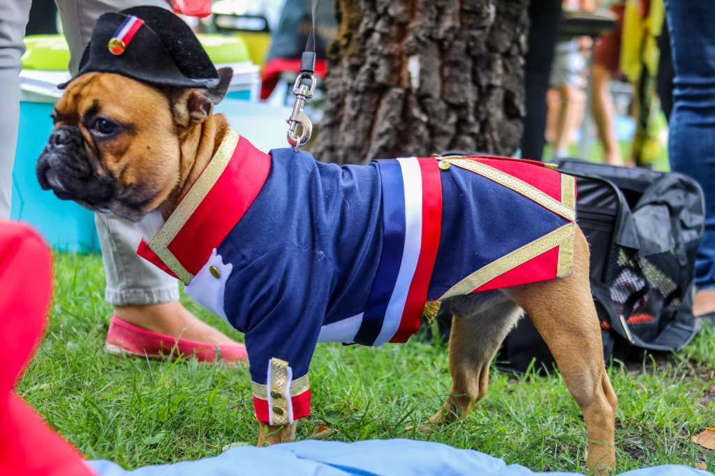 bs_kr_pl_20180715_img_8854.jpg-Piknik  Autor: Autor - B. Świerzowski