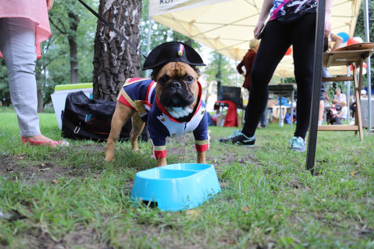 bs_kr_pl_20180715_img_8872.jpg-Piknik