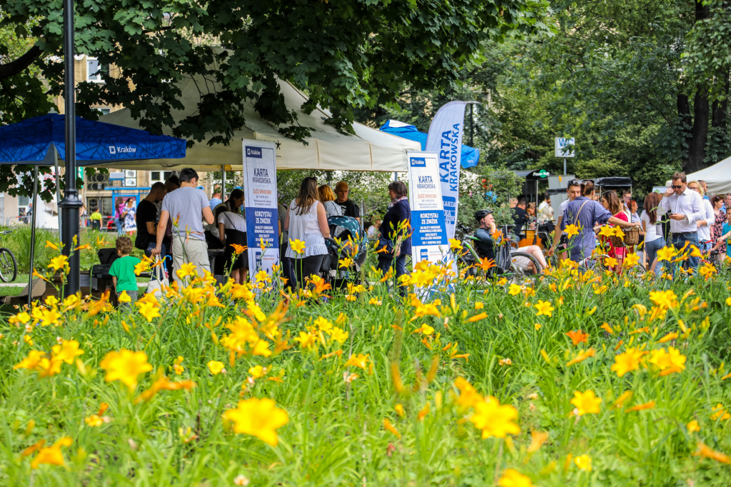 bs_kr_pl_20180715_img_8979.jpg-Piknik  Autor: Autor - B. Świerzowski