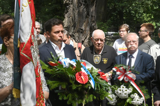 dsc_8874 copy.jpg-Wołyń, pomnik