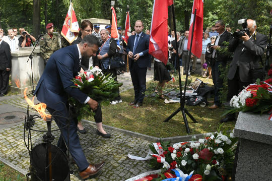 dsc_8888 copy.jpg-Wołyń, pomnik
