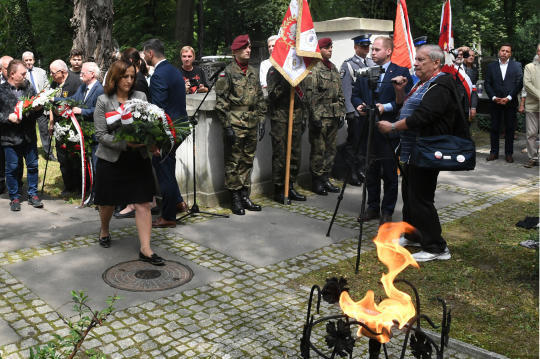 dsc_8894 copy.jpg-Wołyń, pomnik
