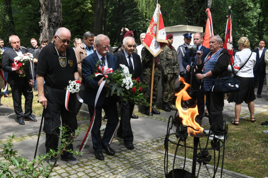 dsc_8905 copy.jpg-Wołyń, pomnik