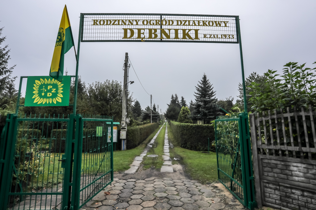 bs_kr_pl_20180825_img_9381.jpg-Działki,jubileusz,Majchrowski,Dębniki  Autor: B. Świerzowski