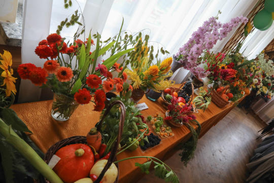 bs_kr_pl_20180825_img_9431.jpg-Działki,jubileusz,Majchrowski,Dębniki