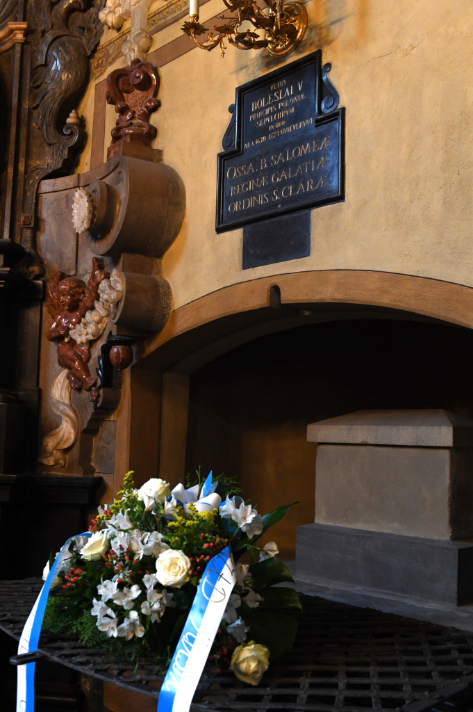 dsc_3214 copy.jpg-Święto Miasta  Autor: W. Majka