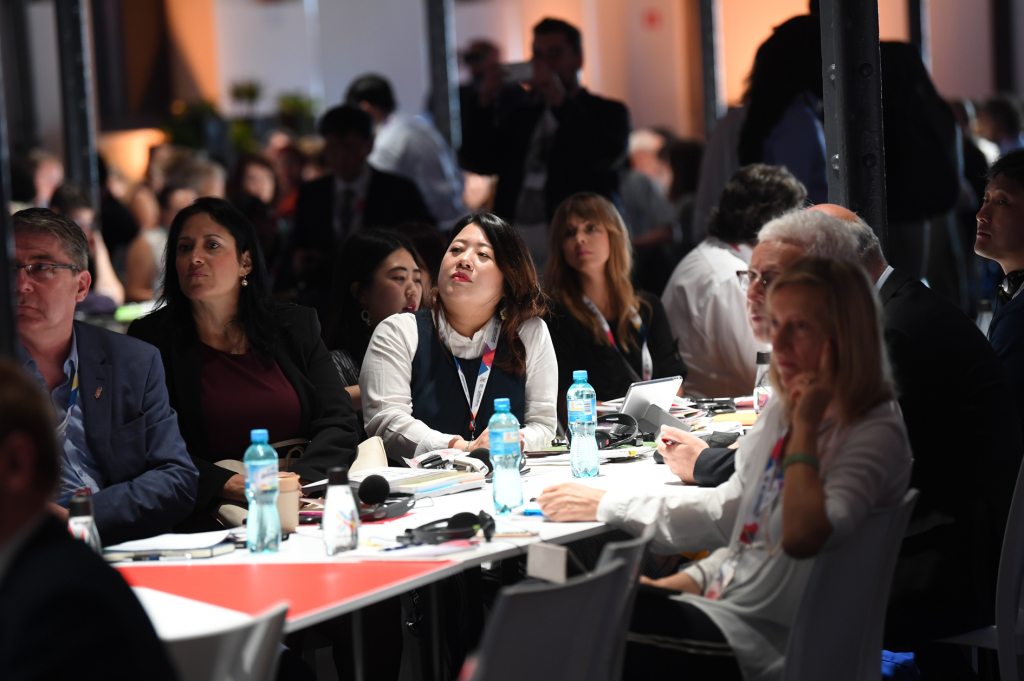 dsc_5393 copy.jpg-Kongres UNESCO  Autor: W. Majka