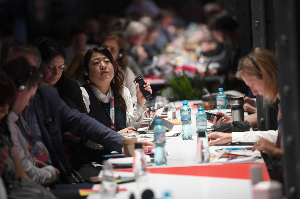 dsc_5455 copy.jpg-Kongres UNESCO  Autor: W. Majka