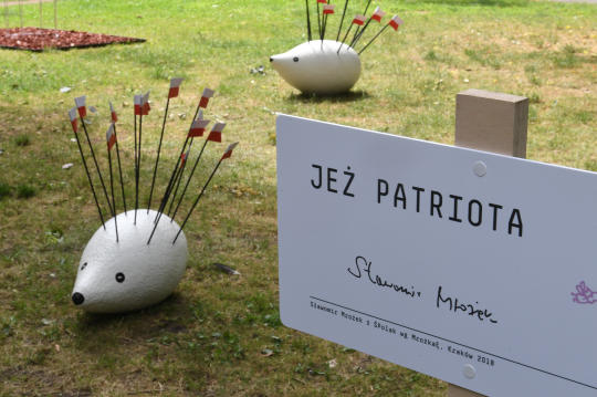 dsc_6330 copy.jpg-Polak wg Mrożka