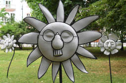 dsc_6344 copy.jpg-Polak wg Mrożka