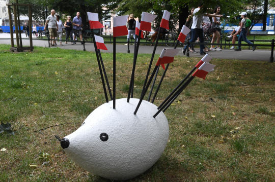 dsc_6349 copy.jpg-Polak wg Mrożka