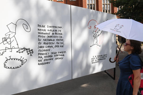 dsc_6498 copy.jpg-Polak wg Mrożka