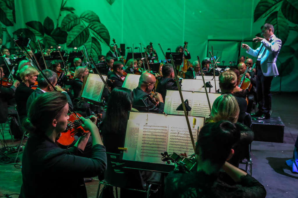 bs-08 września 2018-img_4687.jpg-Gala operetkowa,Nowa Huta,Majchrowski  Autor: B. Świerzowski