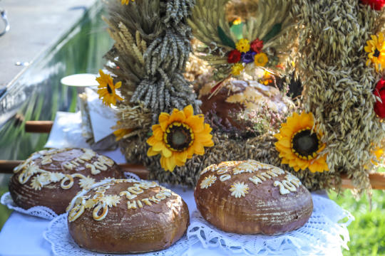 bs-16 września 2018-img_9731.jpg-Dożynki,Dworek Białoprądnicki,Majchrowski,