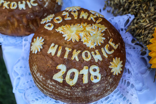 bs-16 września 2018-img_9870.jpg-Dożynki,Dworek Białoprądnicki,Majchrowski,