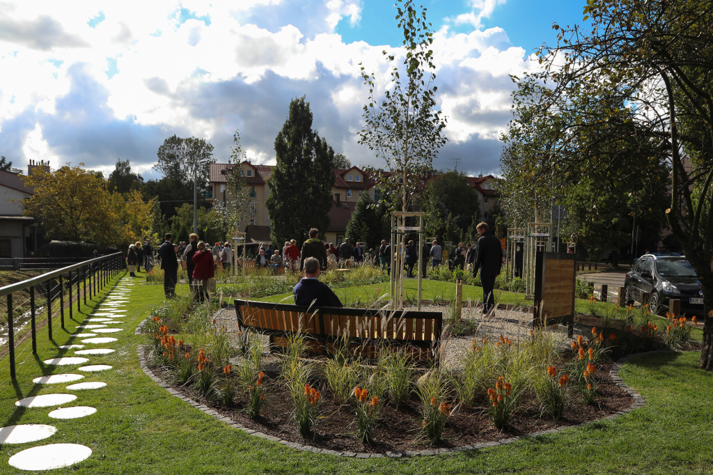 bs-29 września 2018-img_4028.jpg-Ogród Krakowian,Nad Potokiem,Majchrowski,ZZM,Park kieszonkowy  Autor: B. Świerzowski
