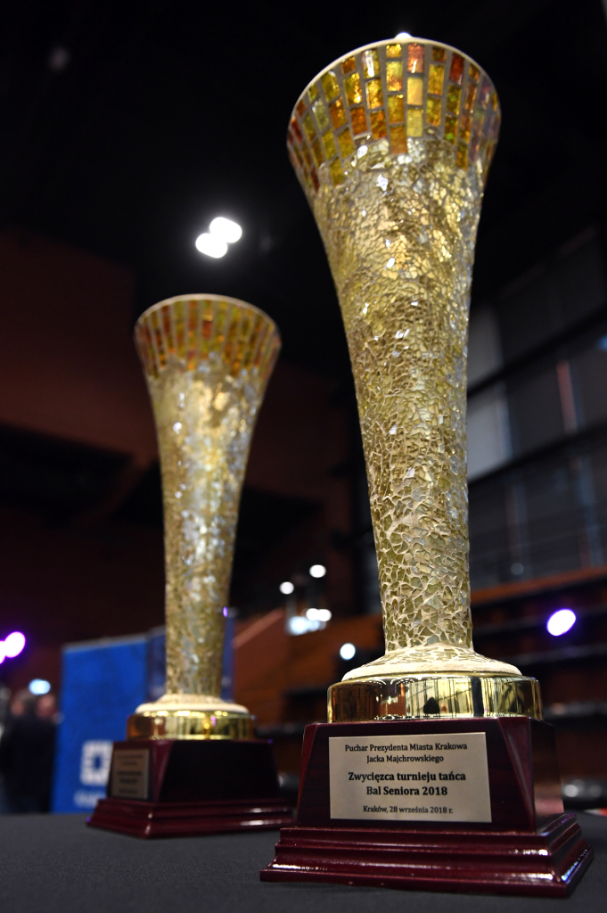 dsc_6951.jpg-Bal Seniora  Autor: W. Majka