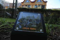 20181006154316_img_6860.jpg-Park kieszonkowy,Celarowska,Majchrowski,Ogród,Dąb