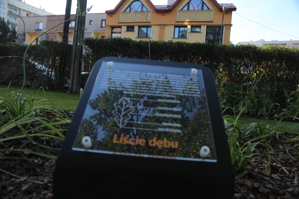 20181006154316_img_6860.jpg-Park kieszonkowy,Celarowska,Majchrowski,Ogród,Dąb  Autor: B. Świerzowski