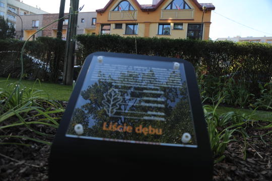 20181006154316_img_6860.jpg-Park kieszonkowy,Celarowska,Majchrowski,Ogród,Dąb