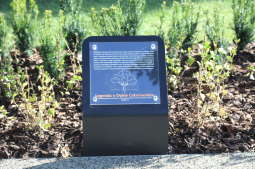 20181006155136_img_6865.jpg-Park kieszonkowy,Celarowska,Majchrowski,Ogród,Dąb