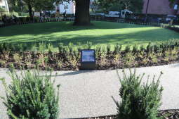 20181006155138_img_6866.jpg-Park kieszonkowy,Celarowska,Majchrowski,Ogród,Dąb