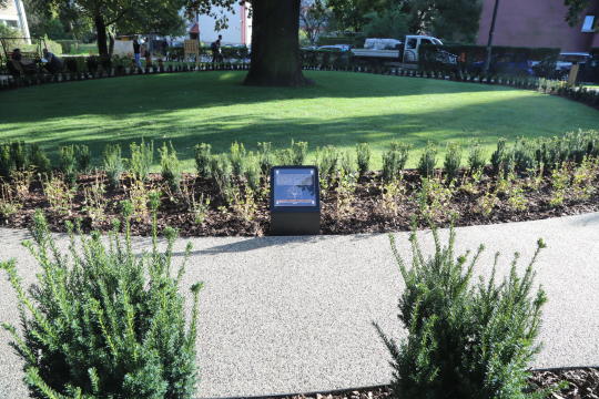 20181006155138_img_6866.jpg-Park kieszonkowy,Celarowska,Majchrowski,Ogród,Dąb