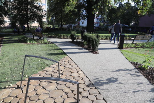 20181006155200_img_6868.jpg-Park kieszonkowy,Celarowska,Majchrowski,Ogród,Dąb