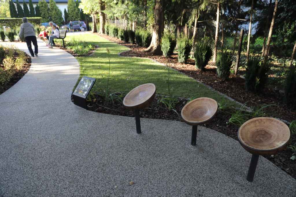 20181006155231_img_6870.jpg-Park kieszonkowy,Celarowska,Majchrowski,Ogród,Dąb  Autor: B. Świerzowski