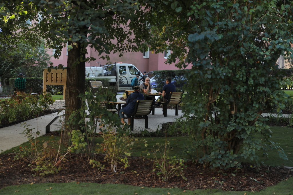 20181006155429_img_6880.jpg-Park kieszonkowy,Celarowska,Majchrowski,Ogród,Dąb  Autor: B. Świerzowski