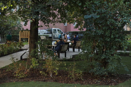 20181006155429_img_6880.jpg-Park kieszonkowy,Celarowska,Majchrowski,Ogród,Dąb