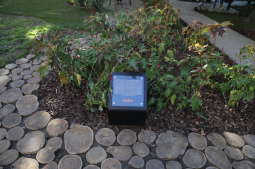 20181006155448_img_6881.jpg-Park kieszonkowy,Celarowska,Majchrowski,Ogród,Dąb