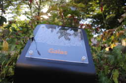 20181006155505_img_6885.jpg-Park kieszonkowy,Celarowska,Majchrowski,Ogród,Dąb