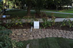 20181006155529_img_6887.jpg-Park kieszonkowy,Celarowska,Majchrowski,Ogród,Dąb