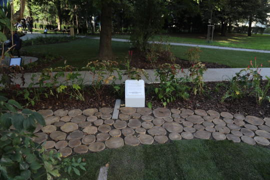 20181006155529_img_6887.jpg-Park kieszonkowy,Celarowska,Majchrowski,Ogród,Dąb