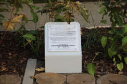 20181006155532_img_6889.jpg-Park kieszonkowy,Celarowska,Majchrowski,Ogród,Dąb