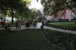 20181006155646_img_6891.jpg-Park kieszonkowy,Celarowska,Majchrowski,Ogród,Dąb