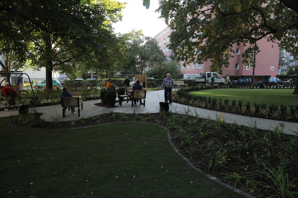 20181006155646_img_6891.jpg-Park kieszonkowy,Celarowska,Majchrowski,Ogród,Dąb  Autor: B. Świerzowski