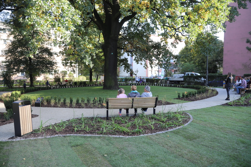 20181006160200_img_6896.jpg-Park kieszonkowy,Celarowska,Majchrowski,Ogród,Dąb  Autor: B. Świerzowski